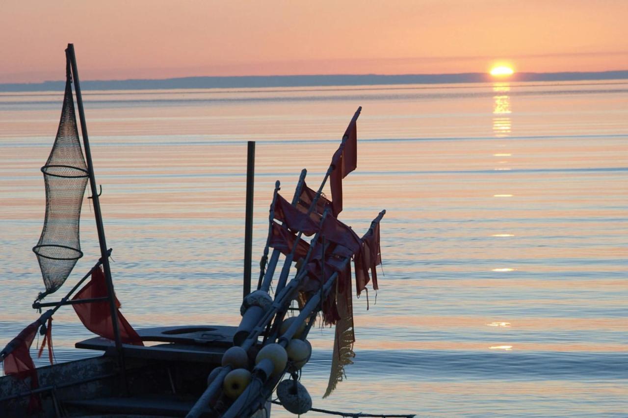 Fewo Seeblick - Familien - Hunde - Strandnah - Ostseeblick - Sauna & Wellness سيركسدورف المظهر الخارجي الصورة