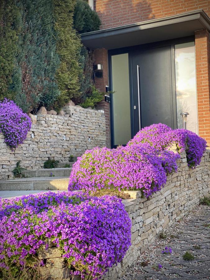 Fewo Seeblick - Familien - Hunde - Strandnah - Ostseeblick - Sauna & Wellness سيركسدورف المظهر الخارجي الصورة