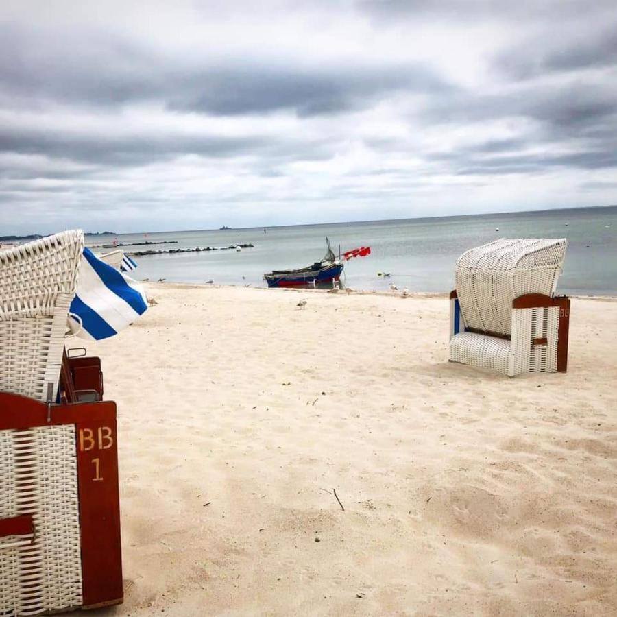 Fewo Seeblick - Familien - Hunde - Strandnah - Ostseeblick - Sauna & Wellness سيركسدورف المظهر الخارجي الصورة