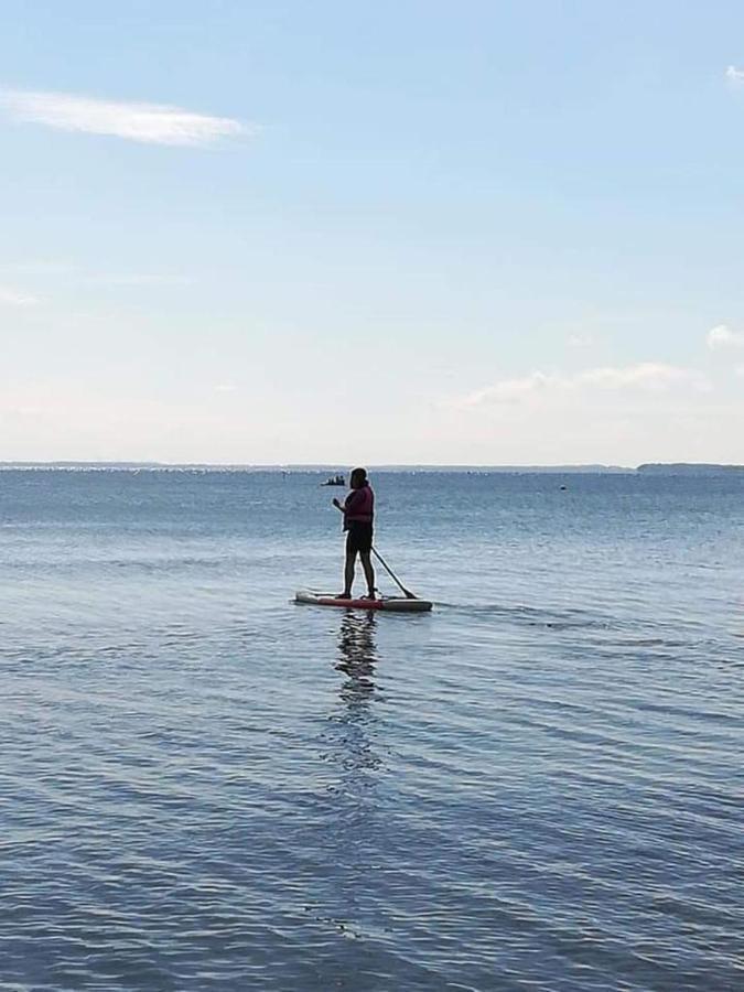 Fewo Seeblick - Familien - Hunde - Strandnah - Ostseeblick - Sauna & Wellness سيركسدورف المظهر الخارجي الصورة
